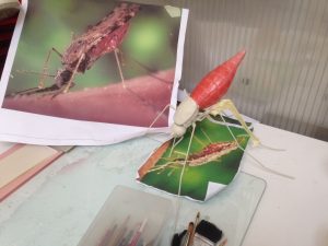 Image and mosquito model Zika