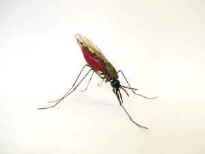 Large scale mosquito model Zika